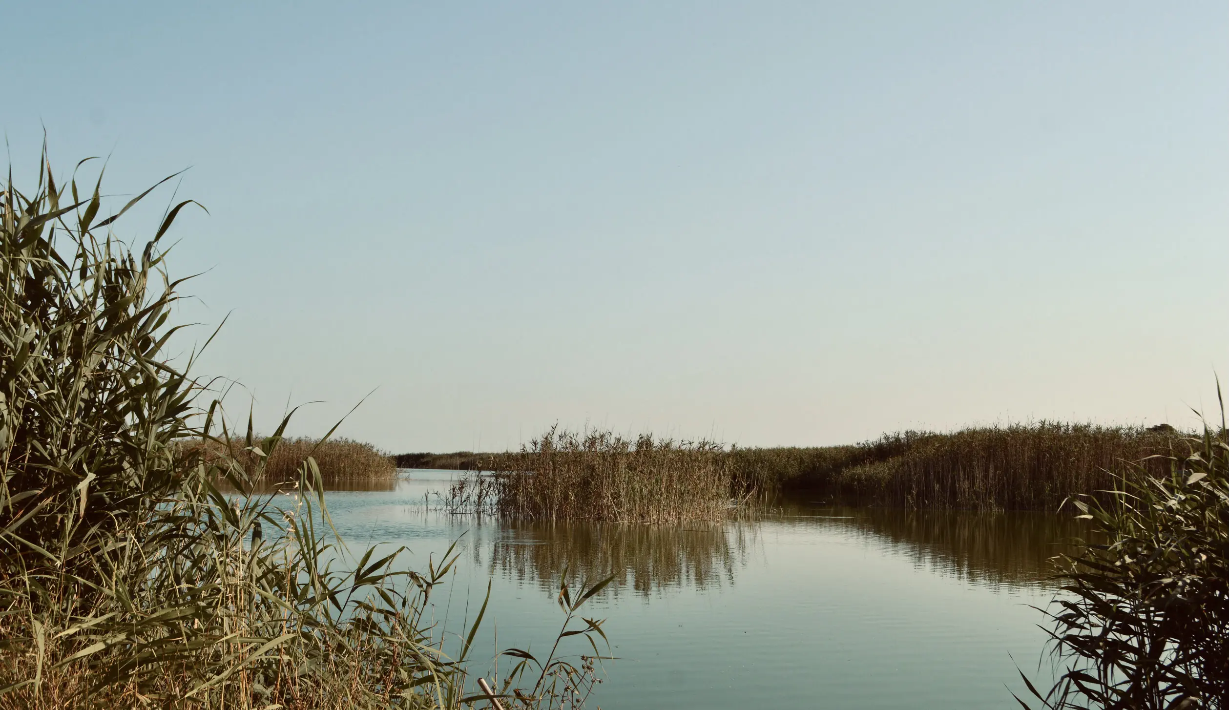 The pristine wetlands and landscape of the Parco Naturale Litorale di Ugento.